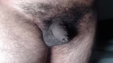 FurryAss online show from August 15, 1:04 pm