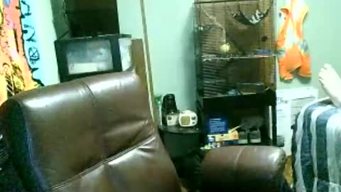 gadude45 online show from August 11, 3:19 am