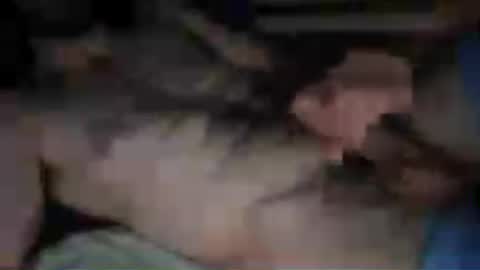 gaemboi69 online show from July 9, 4:50 am