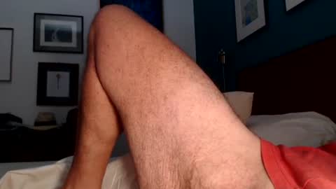 Gard online show from August 15, 7:34 am