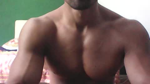 gecko946915 online show from June 28, 9:45 am