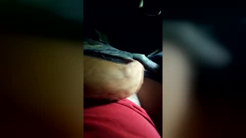Dixon Buts online show from August 12, 12:40 pm