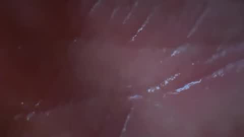 gfintray699 online show from August 3, 3:02 am