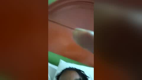gigoboro online show from August 15, 5:11 am