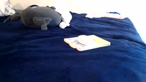 giselle_hill online show from September 4, 8:51 am