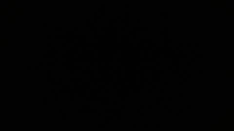 gjpj1 online show from February 22, 3:38 am