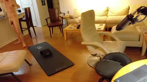 glennbitch online show from June 22, 6:03 am