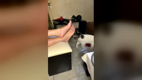 Goddess Freya online show from July 31, 1:39 pm