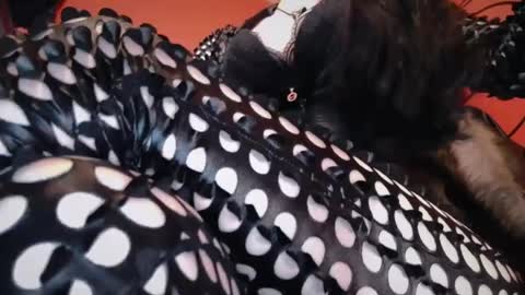 GODDESS MIDNIGHT online show from July 14, 12:05 am
