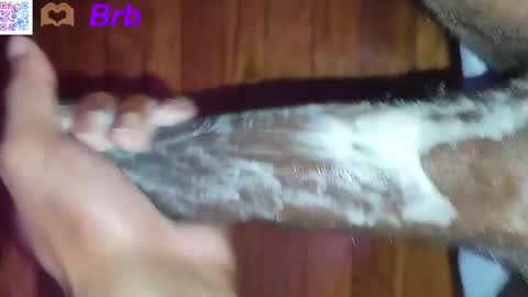 godly_pipe online show from July 26, 4:45 pm