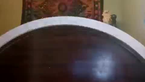 goldendoll1704 online show from August 3, 4:14 pm