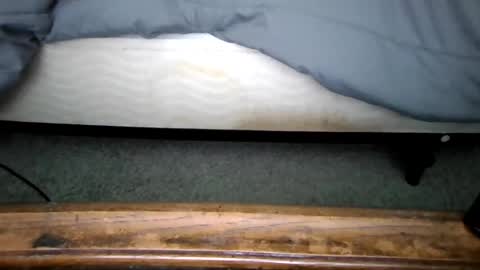 gowiththeflow37 online show from July 19, 12:51 pm