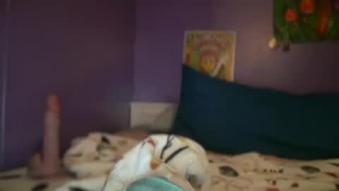 gratefulslut69 online show from June 12, 8:43 am