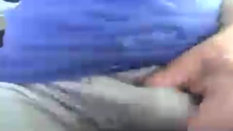 greatjunes online show from July 31, 11:05 am