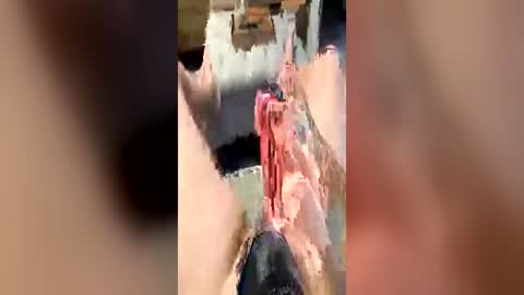 gt79802068 online show from July 1, 3:51 am