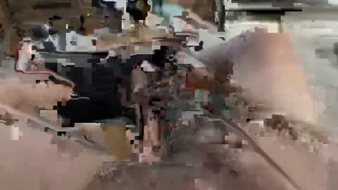 gt79802068 online show from August 9, 6:42 pm
