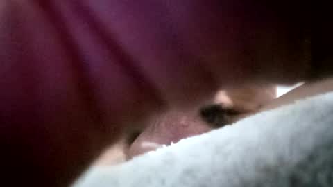 guapopapi88 online show from August 11, 2:24 am
