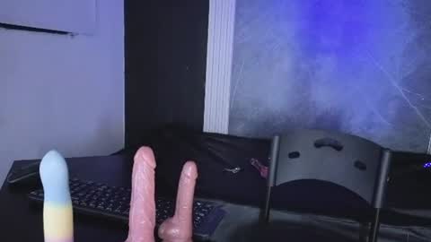 haileycat_ online show from August 7, 4:34 am