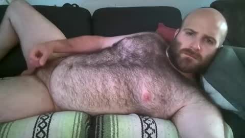 hairiestbear online show from June 2, 7:39 pm