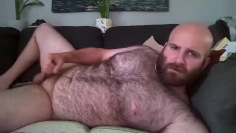 hairiestbear online show from July 24, 4:21 pm