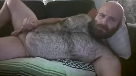hairiestbear online show from August 9, 6:36 am