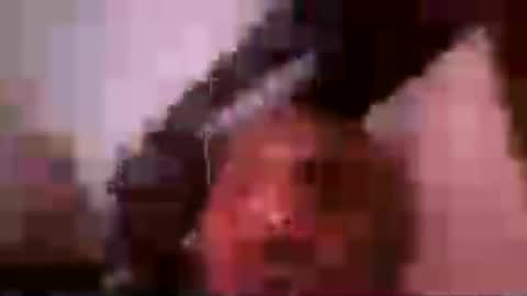 half86 online show from July 28, 11:49 am