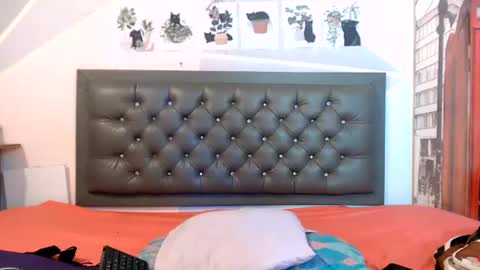 halle_bailey online show from August 8, 3:17 am