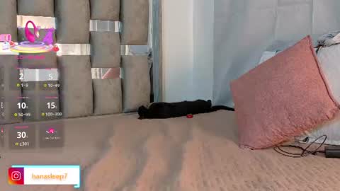 hanasleep online show from August 13, 9:18 pm