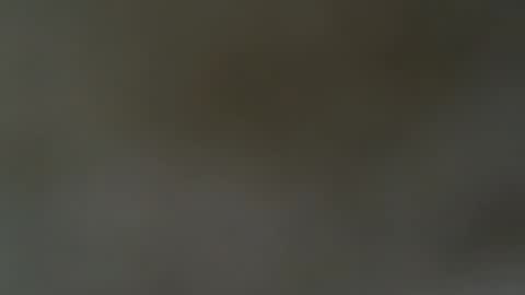handsome_dick_swanger online show from August 10, 9:27 pm