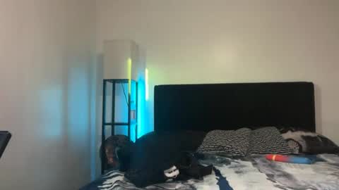 handsome_dick_swanger online show from August 16, 2:04 am