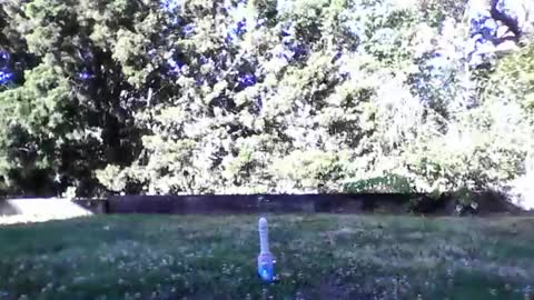 HandySmurf online show from July 1, 2:29 pm