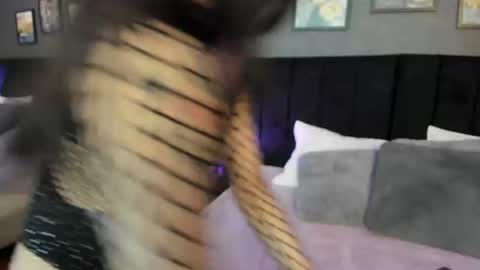 Hanna online show from August 13, 1:47 pm