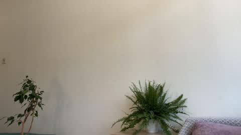 hannah levis  online show from June 30, 10:05 am