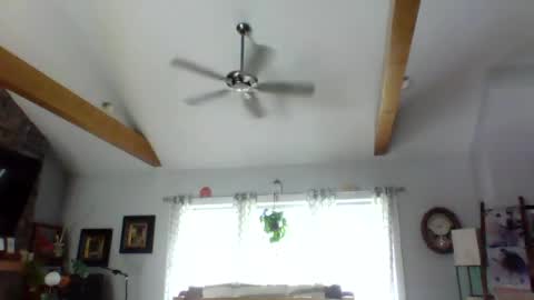 happynudist7373 online show from July 6, 1:03 pm