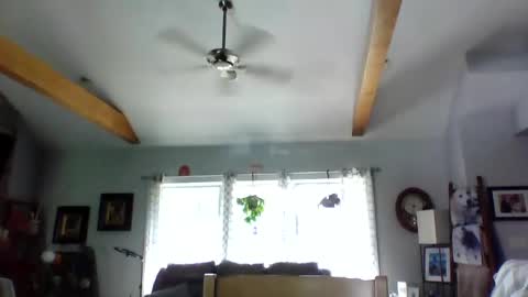 happynudist7373 online show from August 5, 1:31 pm