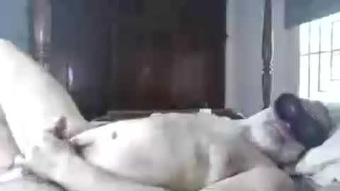 Hard Boner online show from August 12, 11:01 am