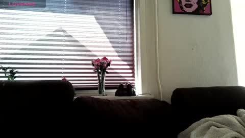 MrLazy online show from August 12, 9:22 am