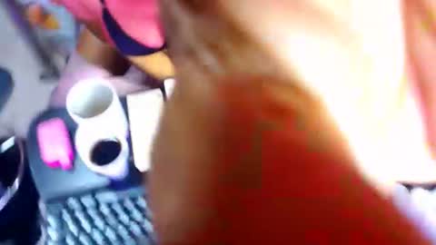 HARLEY  online show from July 31, 12:44 pm