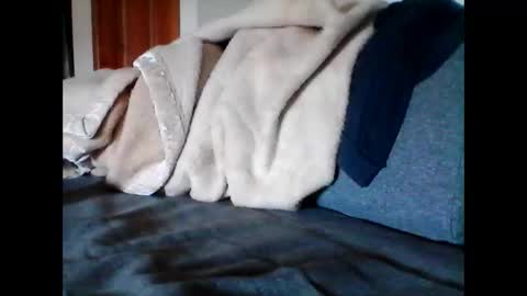havier282874 online show from June 9, 4:52 am