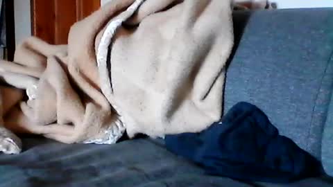 havier282874 online show from June 17, 8:02 am