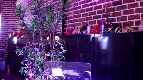 Helen online show from August 6, 8:02 am