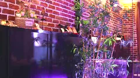 Helen online show from August 14, 9:35 am