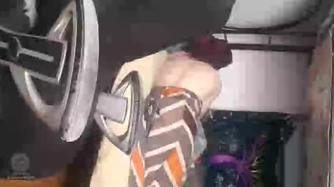 herbigo88 snaap online show from March 23, 3:55 am