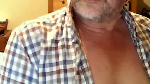 hereford66 online show from July 4, 8:27 am