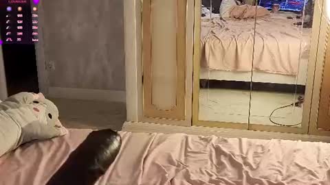 Neko online show from August 2, 10:17 pm