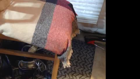 high_heeledguy online show from June 27, 10:23 pm
