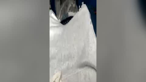 higheguy online show from June 22, 2:51 pm