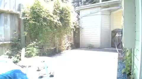 Hippie Jim online show from June 12, 8:16 pm