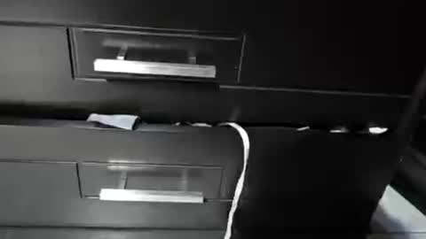 hl_alan online show from August 13, 6:16 am