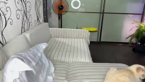 holy_eggs_00 online show from August 7, 3:01 pm